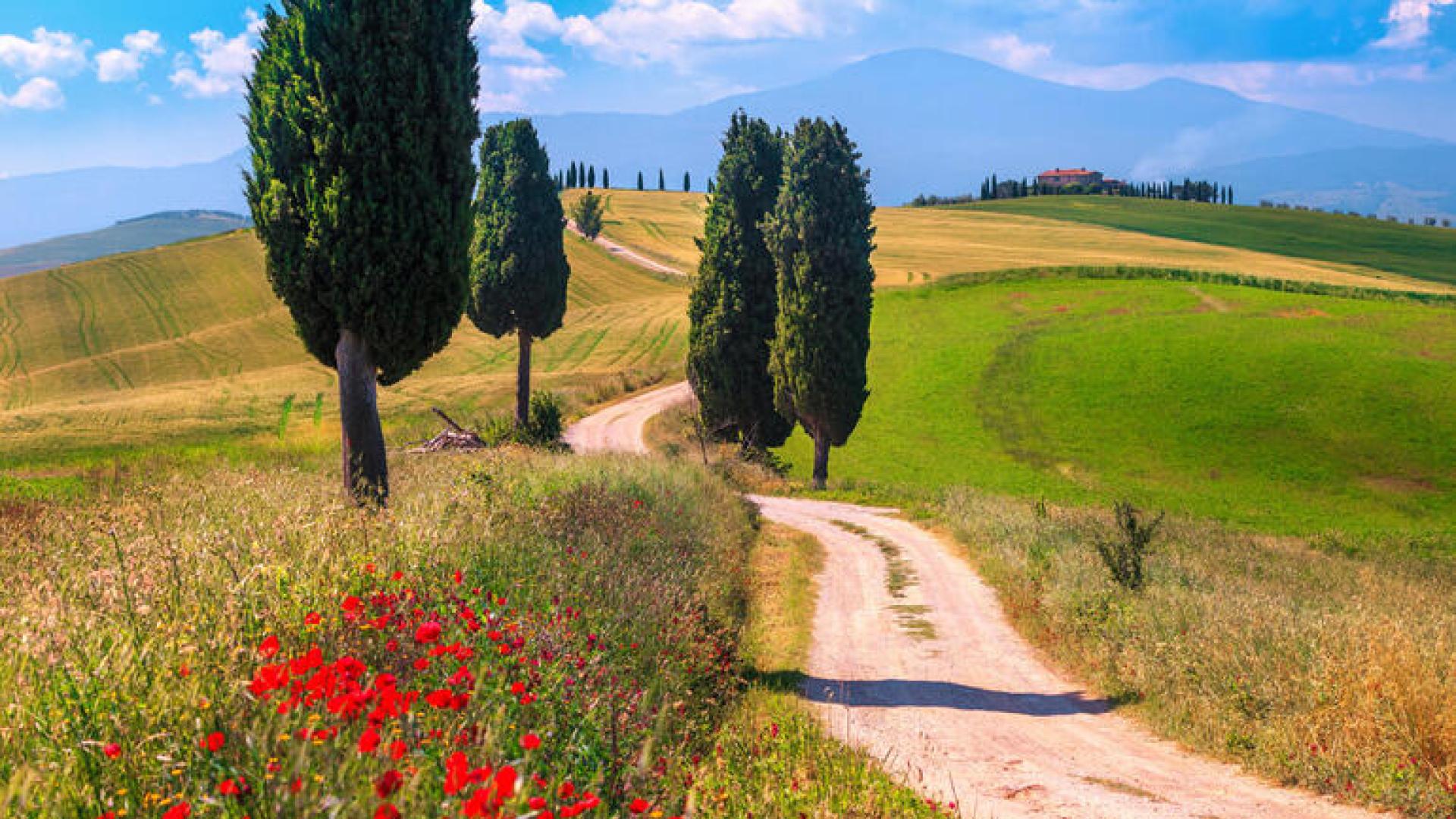 Itinerary to discover the Val d'Orcia